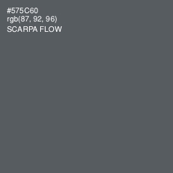 #575C60 - Scarpa Flow Color Image